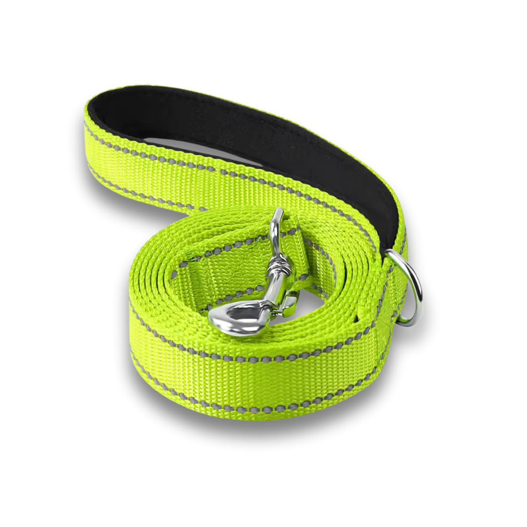 Reflective Dog Leash