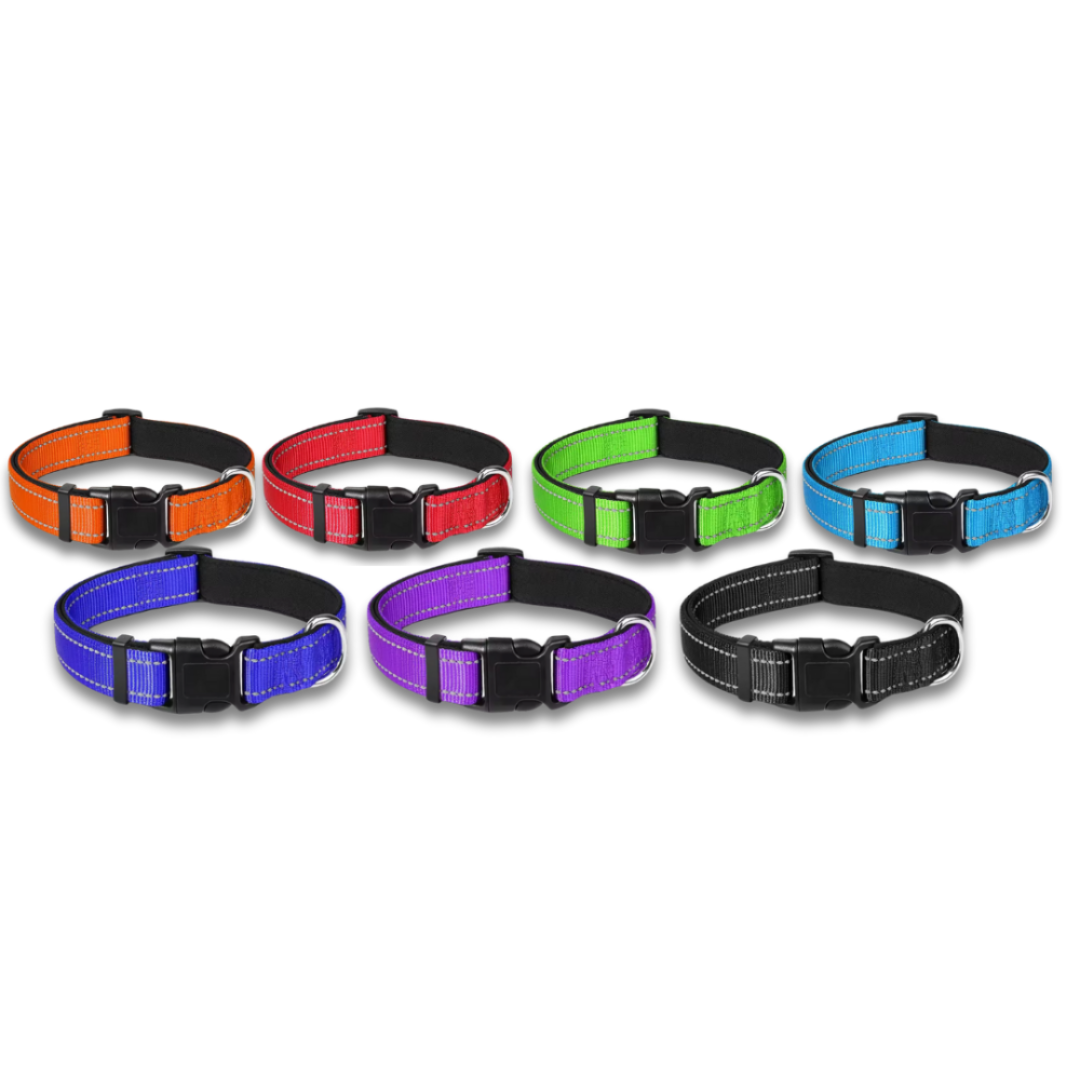 Reflective Padded Adjustable Dog Collar