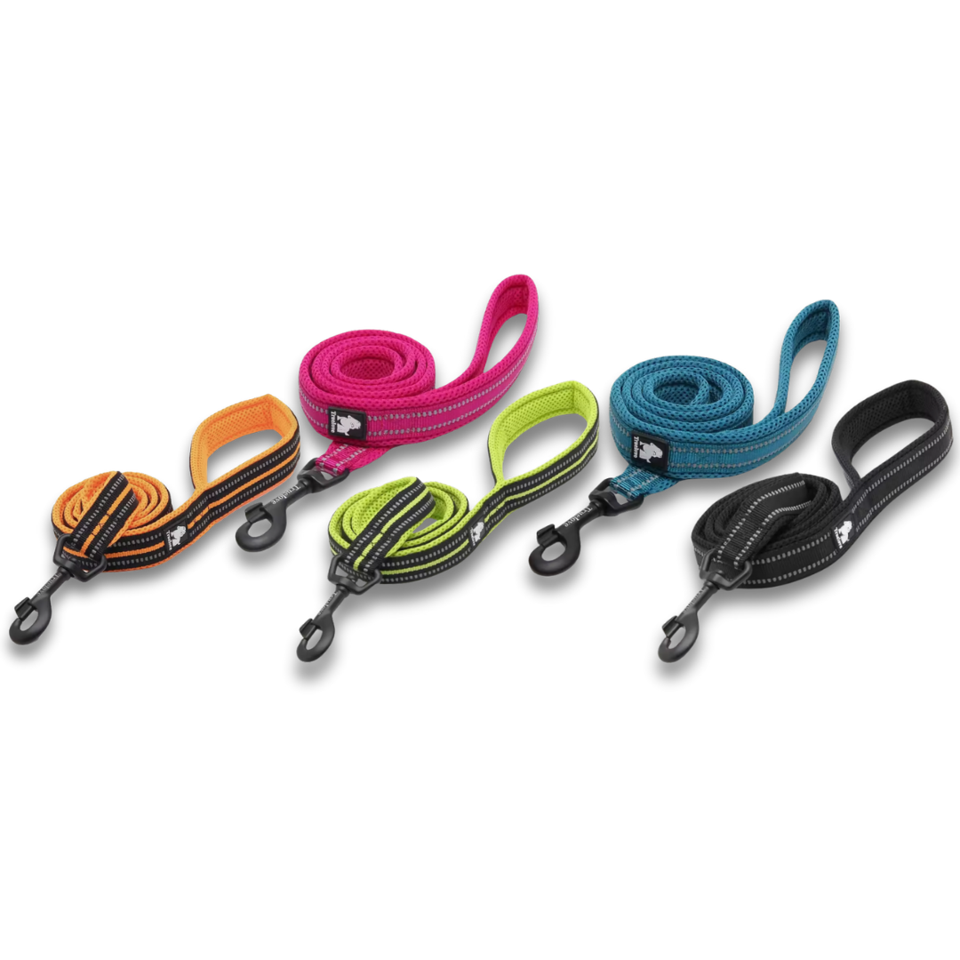 Reflective Padded Nylon Leash