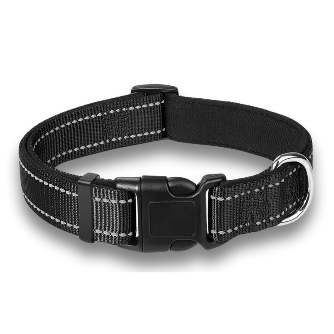 Reflective Padded Adjustable Dog Collar