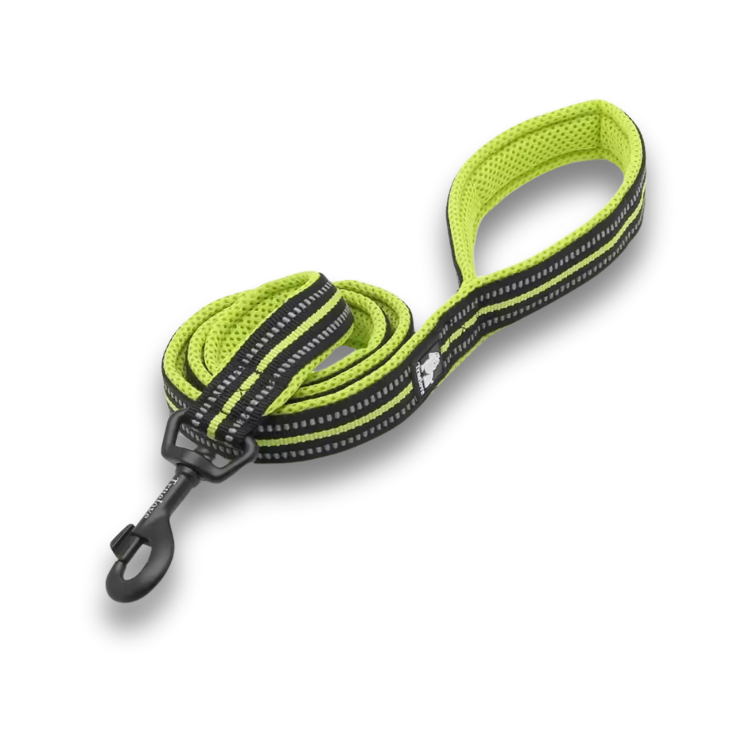 Reflective Padded Nylon Leash
