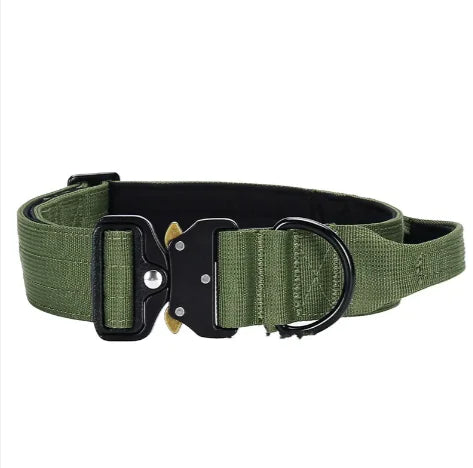 Nylon Explosion-Proof Dog Collar